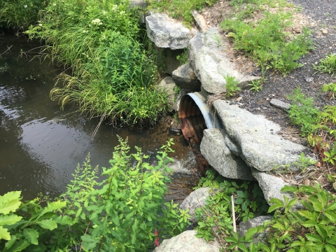 Lubberland Creek before barrier removal