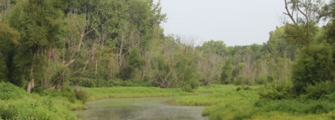The landscape of Delair Division at Great River National Wildlife Refuge