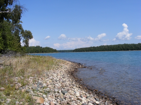 View of Harbor Island shoreline.