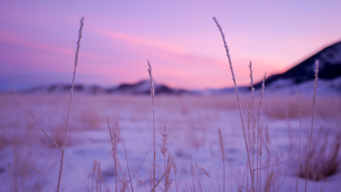Sunrise over a frozen landscape