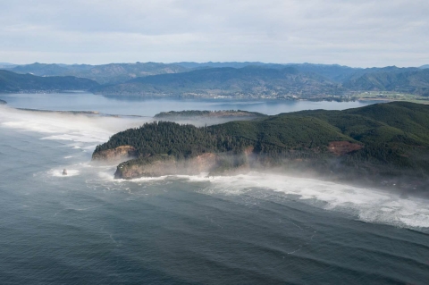 Aerial view of a forested, fog-shrouded cape jutting out into the Pacific with a large bay in the background