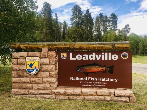 Leadville Hatchery entrance sign