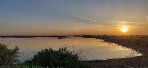 a yellow sun sets over a flooded unit on Kern national wildlife refuge