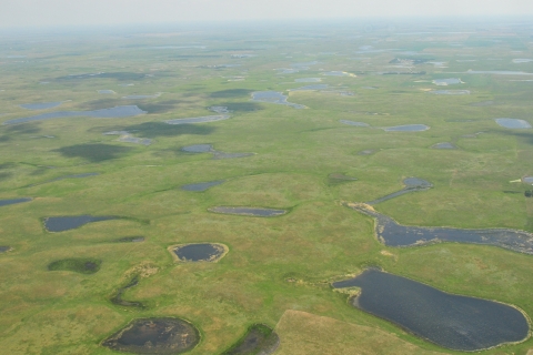Sand Lake Wetlands