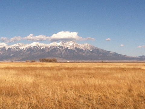 Mt. Blanca from grassland at Alamosa National Wildlife Refuge