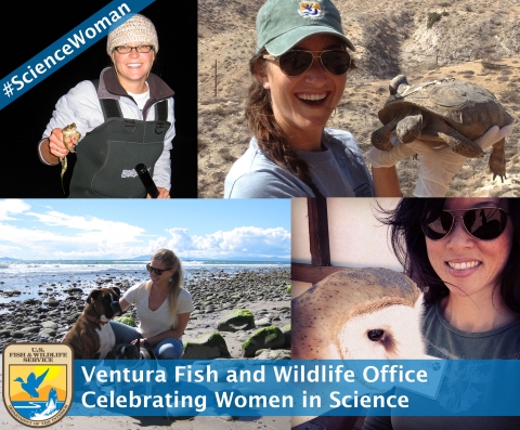 A collage of female scientists