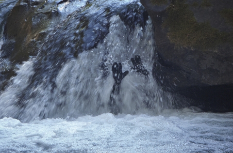 a person under a waterfall