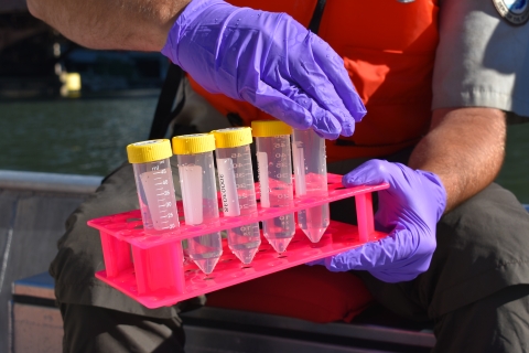 Biologists prepare tubes for water samples during an eDNA sampling event.