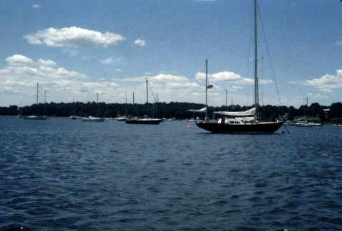 A group of sailboats moored in the refuge 