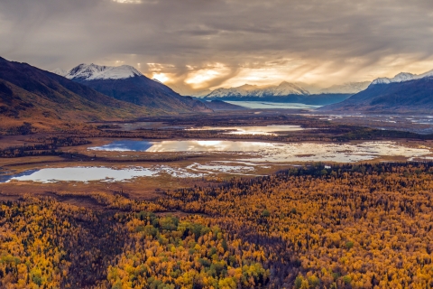 Scenic Alaska landscape with forests in the foreground and mountains in the background. 