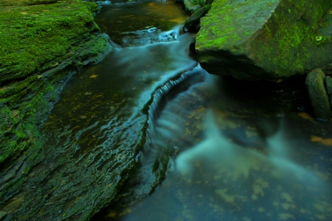 Close-up image of water flowing over and around greenish moss-covered rocks in a Virginia stream