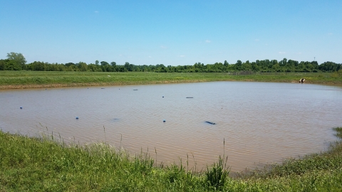 Hatchery pond containing spawning cans for Channel Catfish