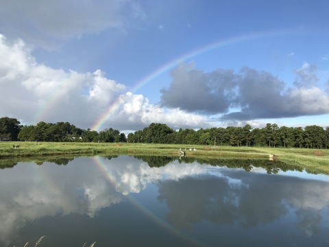 Rainbows over pond at Edenton National Fish Hatchery