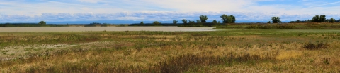 A grassland area with wetlands in the background. Wispy clouds hang in the sky.