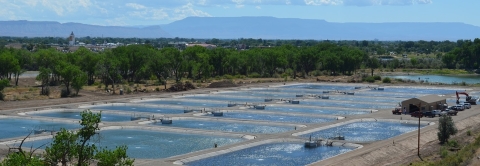 Horsethief Canyon Native Fish Facility in Fruita, Colorado