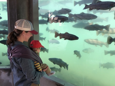 A smiling mother holds her baby while watching large trout swim by through underwater display windows.