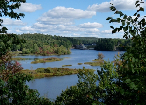 A view over a portion of a river surrounded by lush greenery with a blue sky in the background