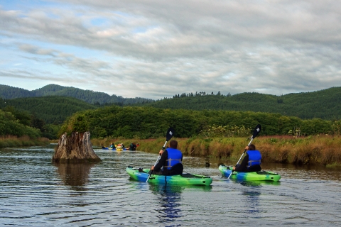 Two paddlers travel along No Name slough past grassy pastures, submerged wood, and green hills