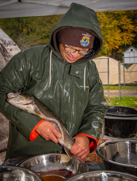 Fisheries Technician Joe Xamountry spawning adult Lake Trout at the Berkshire NFH