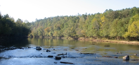 Cahaba River 