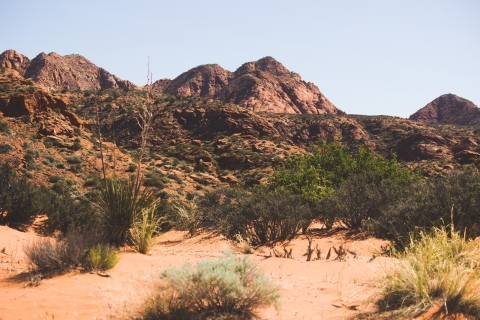Red rocks, sand, and desert shrubs at Red Cliffs Desert Reserve 