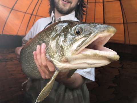Biological Science Technician Paul Boynton holding an adult Lake Trout