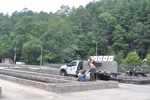 Loading distribution truck with trout at Chattahoochee Forest National Fish Hatchery