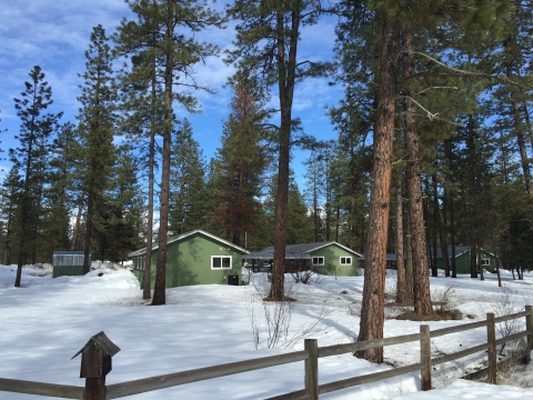 A cluster of 3 buildings is shown under tall pine trees, behind a rail fence, with snow on the ground and blue sky.