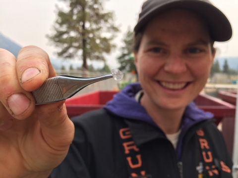 A smiling woman in ballcap and waders holds a fish scale in tweezers close to the lens.