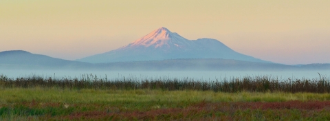 Tule Lake wetlands looking West with Mt. Shasta in the background