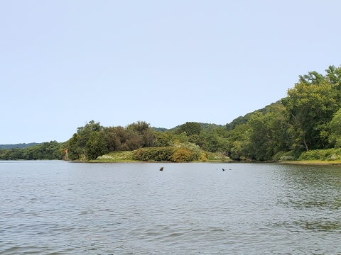 Captina Island rises from the Ohio River