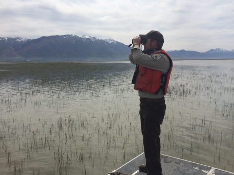 Using binoculars, staff look over the lake for birds. 