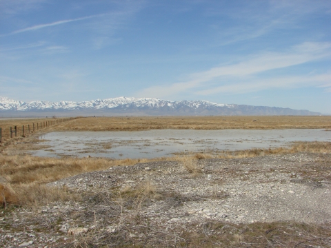 A lake in front of distant snow-capped mountains. 