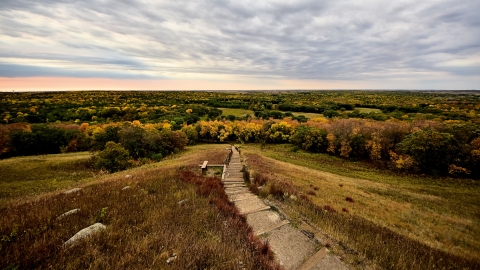 A scenic view from the top of White Horse Hill overlooking woodlands and prairie