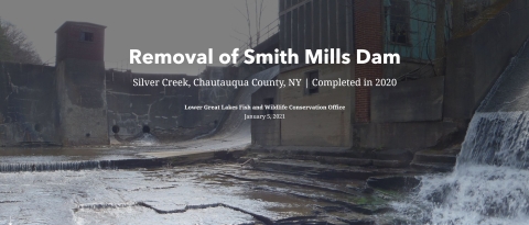 Smith Mills Dam