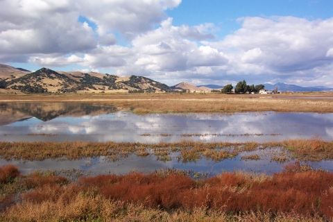 A wetland with mountains in the background