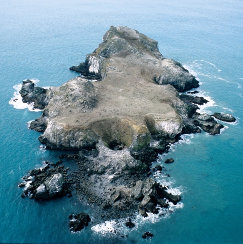 An aerial image of a rocky island