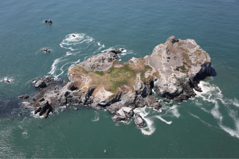 An aerial image of a rocky island