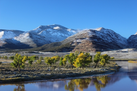 Trees line a river with snow-capped mountains in the distance 