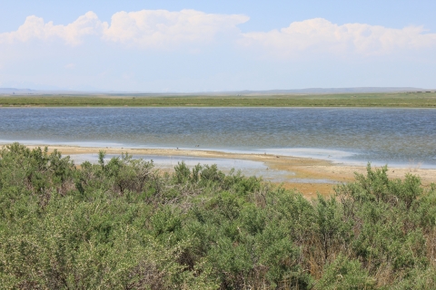 A prairie lake with shrubs growing on shore in the foreground