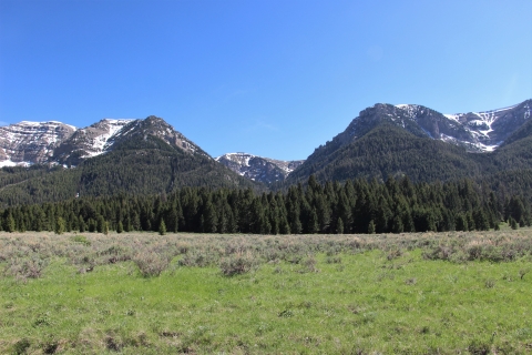 Blue skies reign supreme over snow kissed mountains and a green valley floor at Red Rock Lakes National Wildlife Refuge