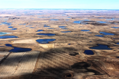 Prairie Pothole Landscape