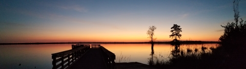 Sunrise over lake with cypress trees and dock