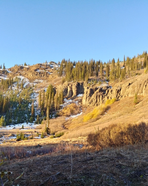 Shady foreground and sun lighting up the background. Patches of trees and snow can be seen
