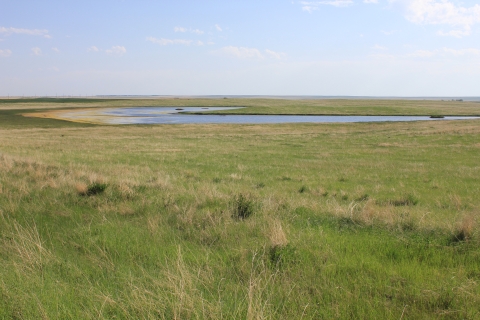 prairie wetland with grass in foreground