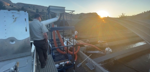 Warm Springs NFH staff load and transfer young spring Chinook salmon during an extreme heatwave