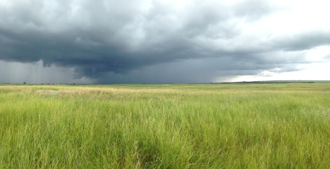 landscape view of a rainshower over the prairie at Krueger Waterfowl Production Area