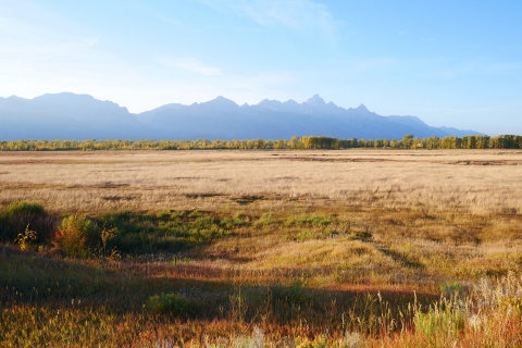 Autumn colored field with distant mountains
