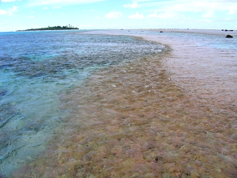 The shallow reef of the atoll sits below the ocean water line. The reef is brown while the deeper areas are blue. An island sits in the distance. 