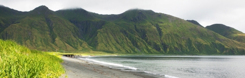 View of green mountains crowned by mist with beach, grass, and ocean shoreline in the distance.